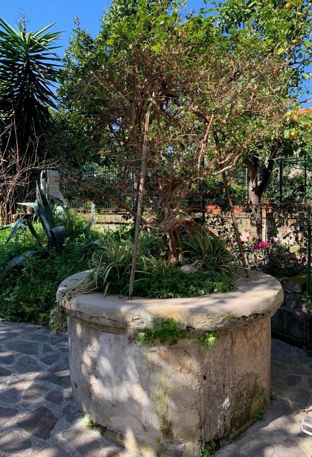 Itaca B&B Piano di Sorrento Exterior foto